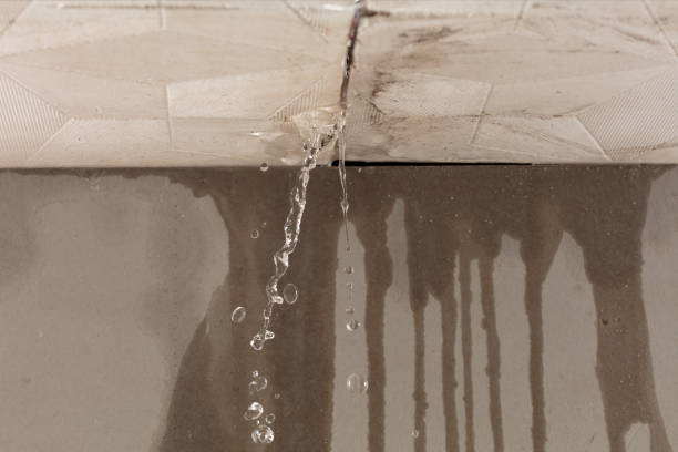 Professional Structural Drying technician working in Warrington, FL